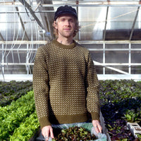 Person holding a tray of plants in a greenhouse