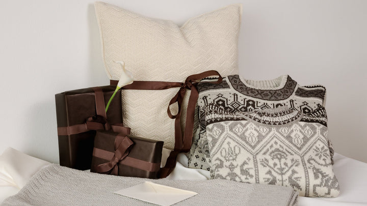 Decorative pillows and a patterned bag on a bed with a white background
