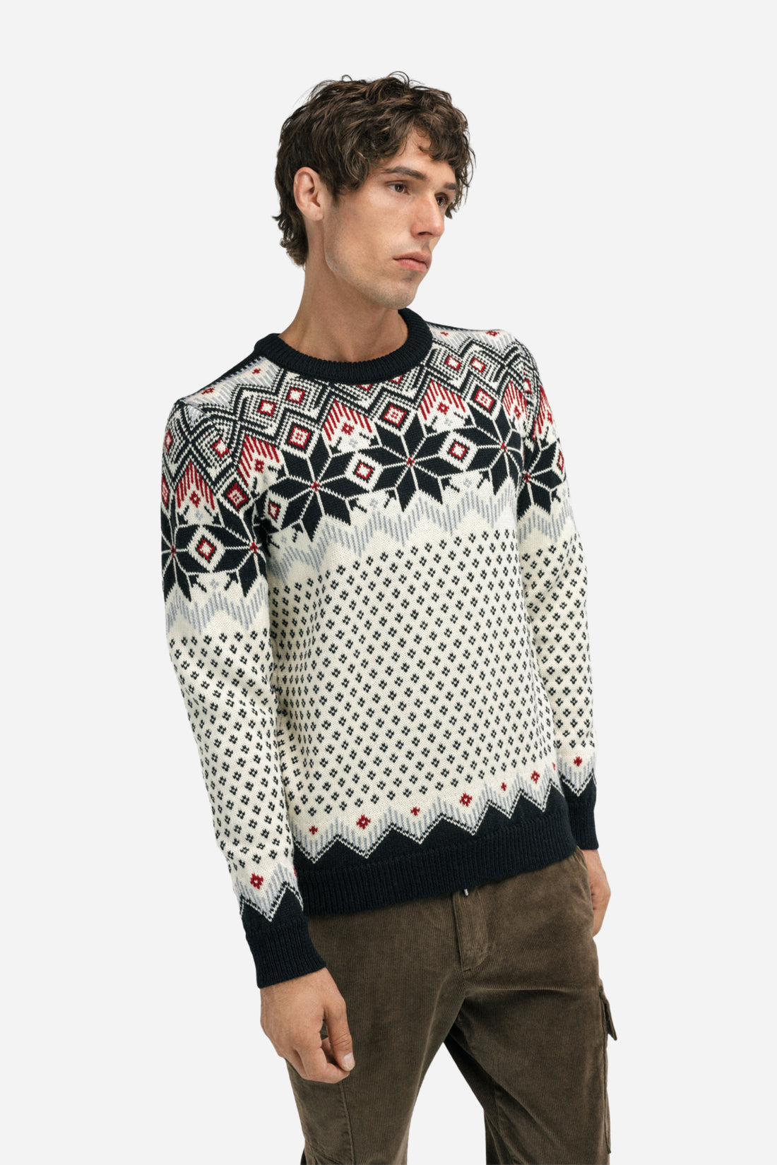 Dale of Norway - Vegard Men's Sweater - Black