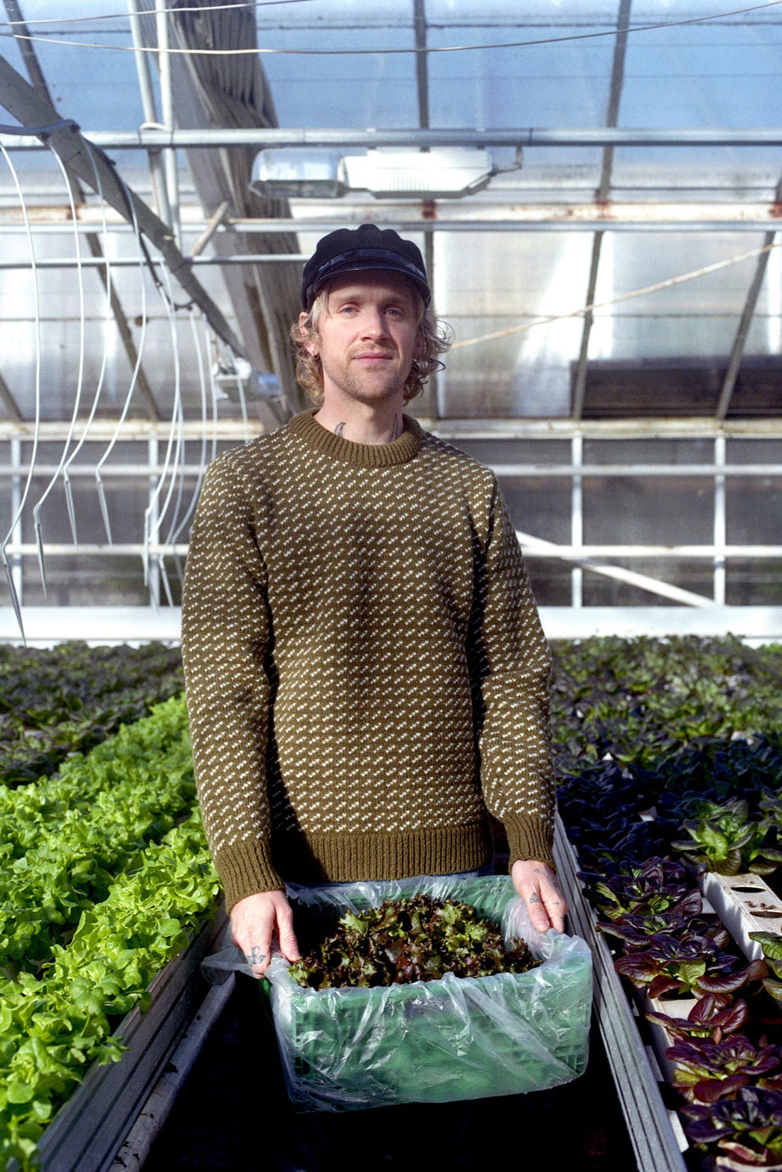 Person holding a tray of plants in a greenhouse