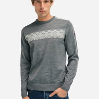 Dale of Norway - Stenberg Men's Sweater - Light Grey