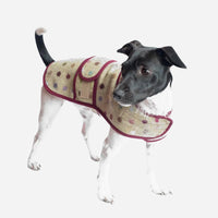 Lime Jasper Dog Coat