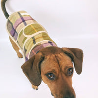 Hettie - Lilac Jasper Dog Coat