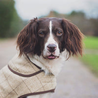 Oatmeal Jasper Dog Coat